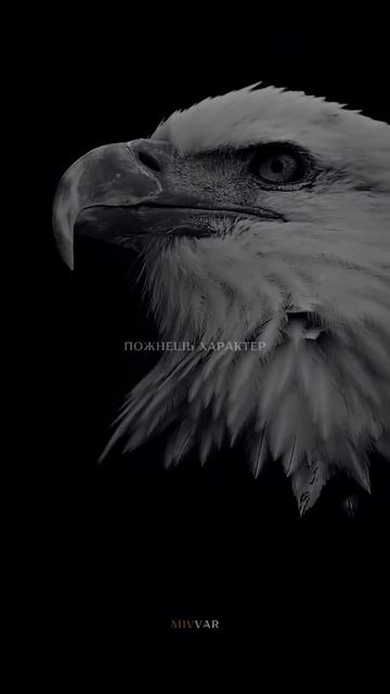 Запомни ты есть то, о чем ты думаешь!