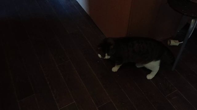 Начало ремонта в коридоре. Зашиваем стены гипсокартоном.Уборка в холодильнике.