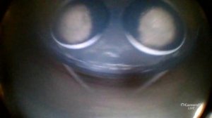 Mazda CX-5 Skyactive 2.0, 2011, 140000км Эндоскопия двигателя