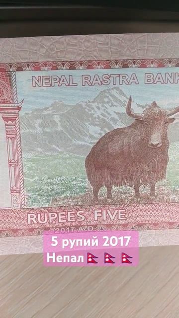5 рупий 2017#непал #банкноты #деньги #купюры смотреть онлайн