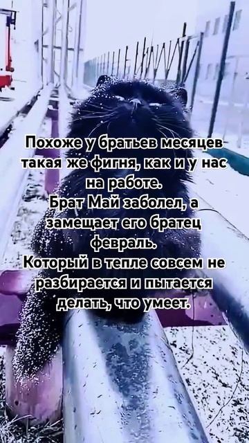 12 месяцев #работа #холод #frozen #may #relaxing #meditation #weather #month #mot смотреть онлайн