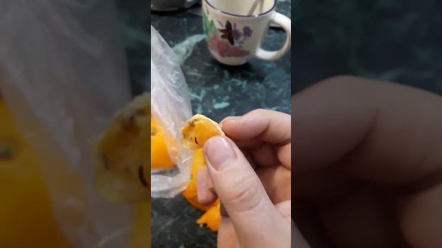 Какой ужас! Личинки в мандаринах смотреть онлайн