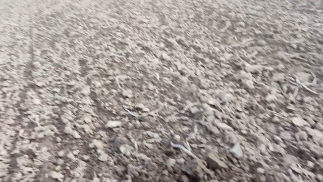 Minelab EQUINOX 900 первый выход 2024