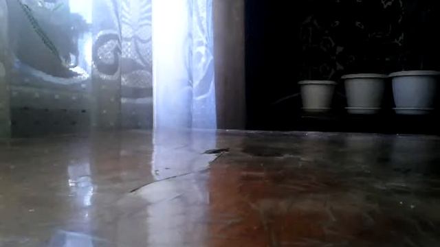 Как свестеть на руках прикольно и свистка не надо смотреть онлайн
