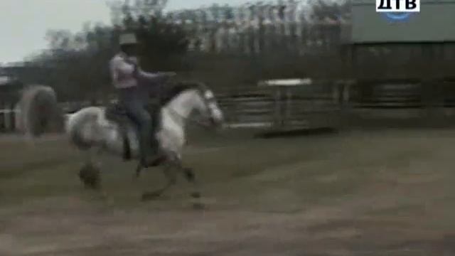Видеоприколы скачать приколы самое улетное видео смотреть онлайн