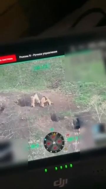 Оператор дрона снял на фронте эпичную зарубу... четырех сурков смотреть онлайн