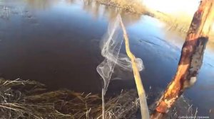 Рыбалка на паук и кривду.Какая снасть уловистее 🎣🎣🎣...