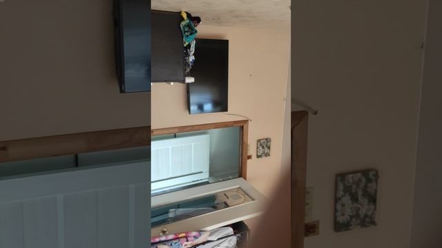 Мертвые рельсы/ фиаско/ замок смотреть онлайн
