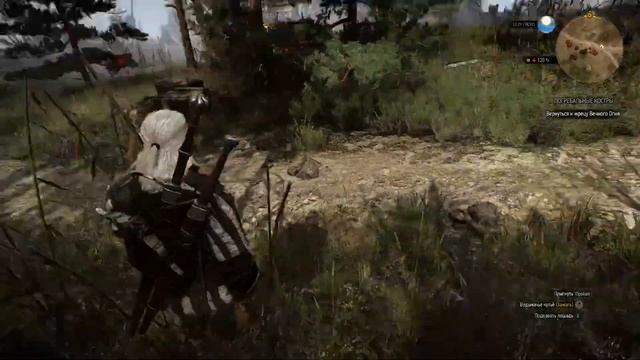 Ведьмак 3 Дикая Охота  # 4 НИЛЬФГААРДСКИЙ СВЯЗНОЙ (Русская Озвучка / Без Комментариев)