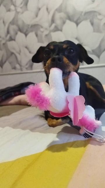 бой без правил смотреть онлайн