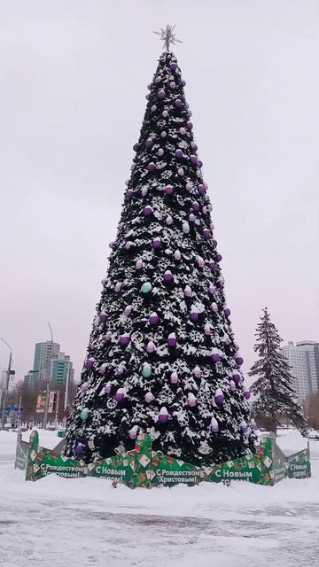 Новогодняя елка! 2024 смотреть онлайн