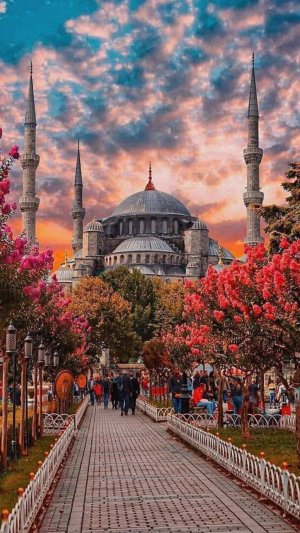 Стамбул! Удивительный город