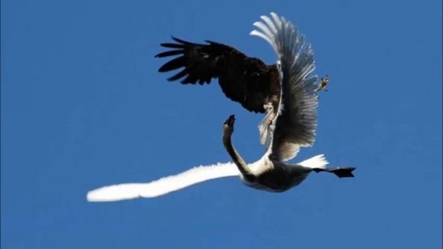 Связь наших душ смотреть онлайн