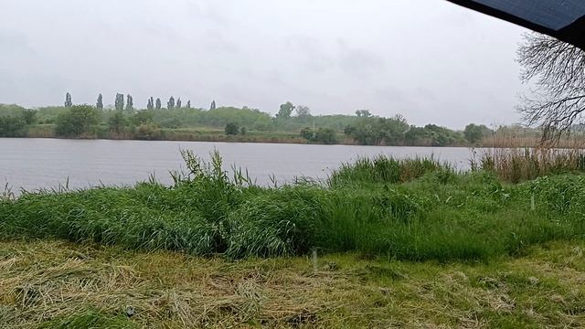 1000023009.mp4 смотреть онлайн