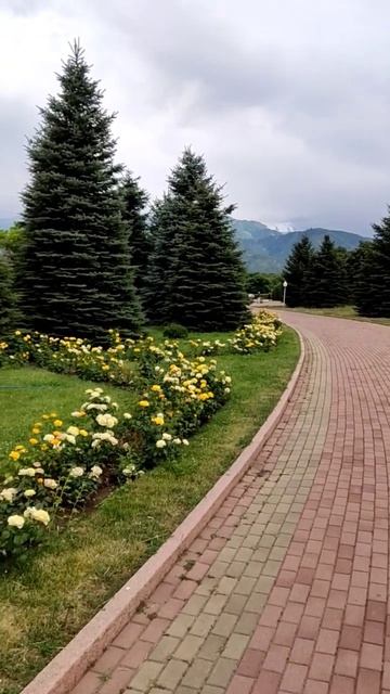 Горы Алматы в июле. смотреть онлайн