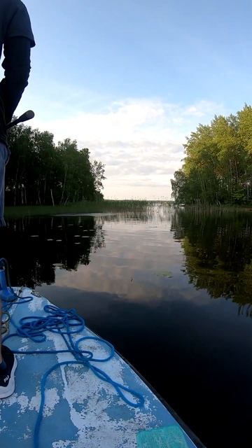 Это РУСАЛКА? Видели... смотреть онлайн