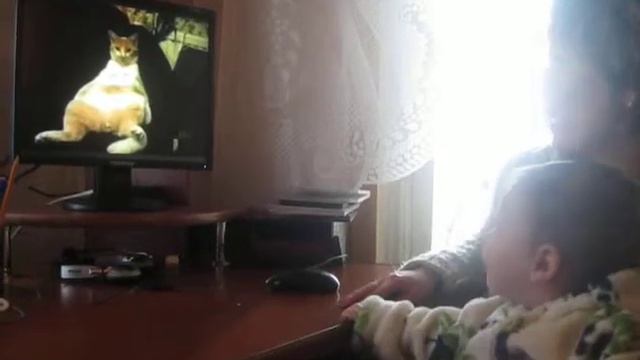 в 7 мес ржем над приколами. смотреть онлайн