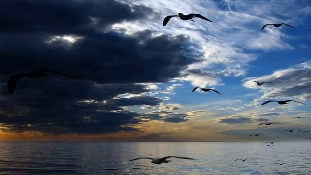 Ф И Тютчев Певучесть есть в морских волнах смотреть онлайн