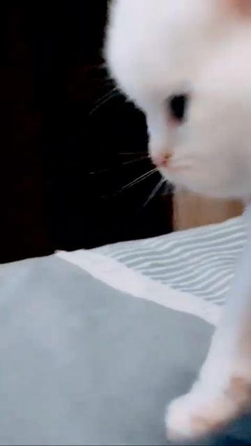 Девочка моя❤с днем рождения тебя🎉🎉🎉🎉🎉🎉🎉🎉🎉 смотреть онлайн