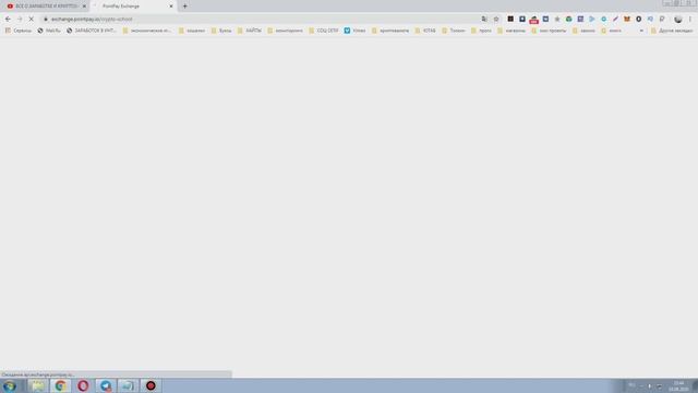 PointPay отзывы- лучший проект