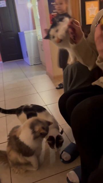 «это мой гриб!! я его ем!!» смотреть онлайн