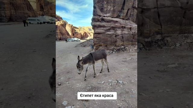 Самая дорогая валюта в мире это ??????? смотреть онлайн