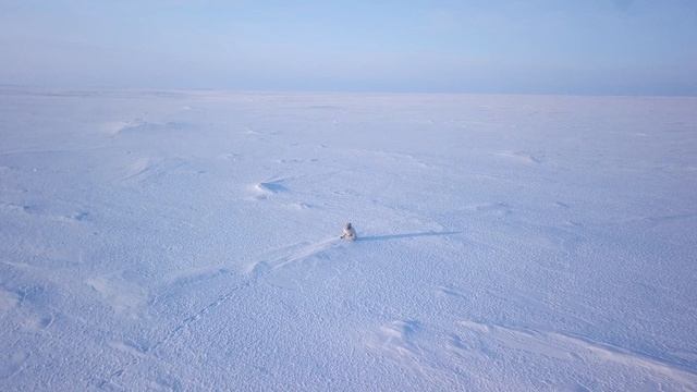 Однажды на севере смотреть онлайн