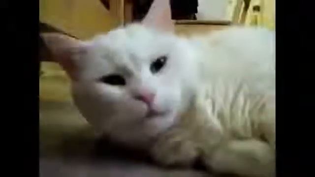 Лучшие приколы 2014 Март!! #3 смотреть онлайн