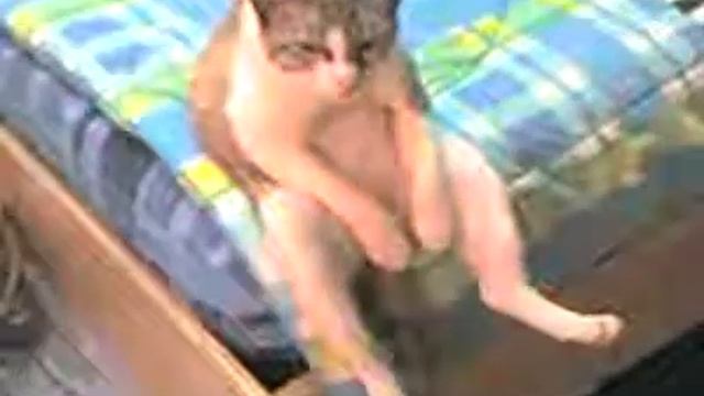кот на краю кровати прикол смотреть онлайн