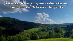 Елена Ваймер__О Любовь как могу о Тебе все сказать__ Христианская песня