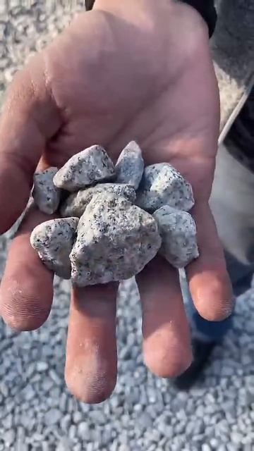 Как заработать деньги начинающему бизнесмену? #shortvideo # смотреть онлайн