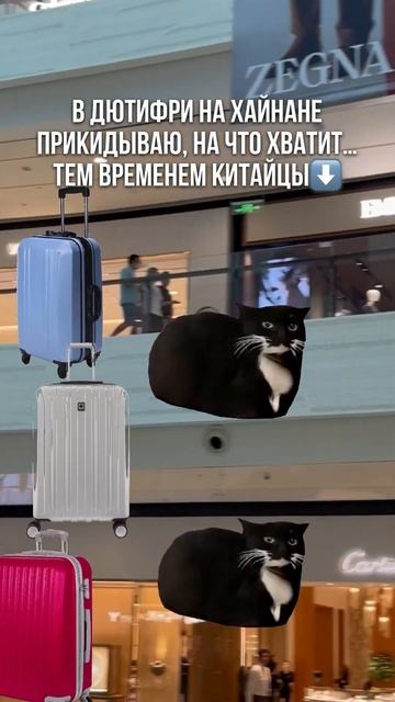 В китайском дютифри #китай #путешествия #китайцы #китайскийязык #китайский