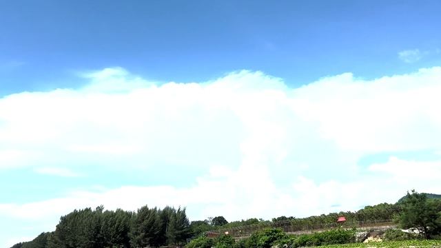 Песня Ковра-самолёта