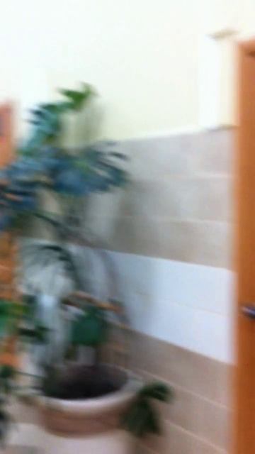 Вихарев Александр Владимирович ( Свято-Троицкий Серафимо-Дивеевский монастырь )