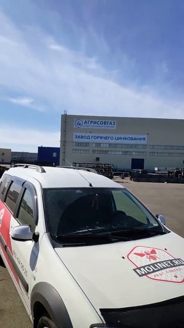 Уничтожение борщевика Molinet.ru смотреть онлайн