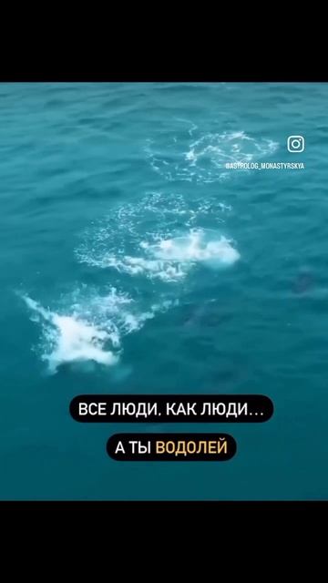 Водолей ♒️ ❤️ видео представлено в чисто развлекате смотреть онлайн