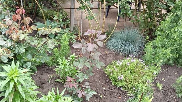 Дождь.Динская.09.05.2025. смотреть онлайн