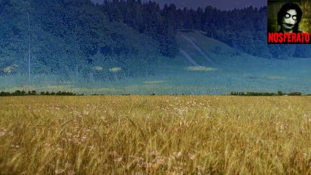 Дозвалась. Страшные истории на ночь 🫣🫣🫣 смотреть онлайн