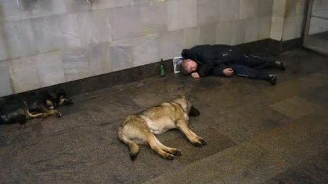 Приколы в метро под музыку смотреть онлайн