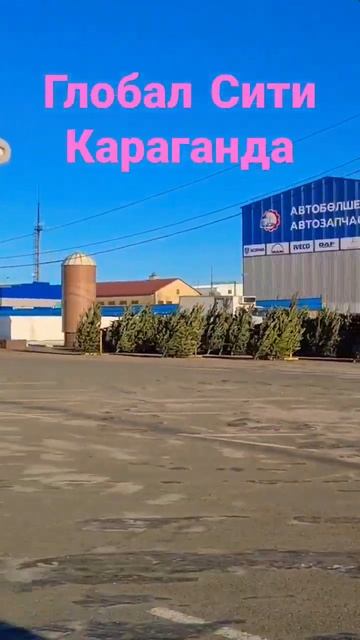 Живые ёлки🌲🌲🌲#караганда смотреть онлайн