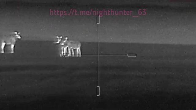 Тепловизионный прицел Arkon Alfa LT35. Лоси от 30 до 250 метров. смотреть онлайн