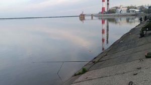 Рыбалка на Амуре 08 05 2025