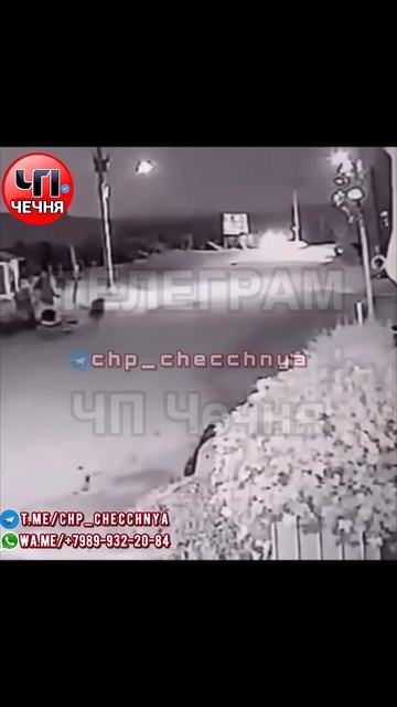 ❗️Удивительное видео, собака в моменте превратилась смотреть онлайн