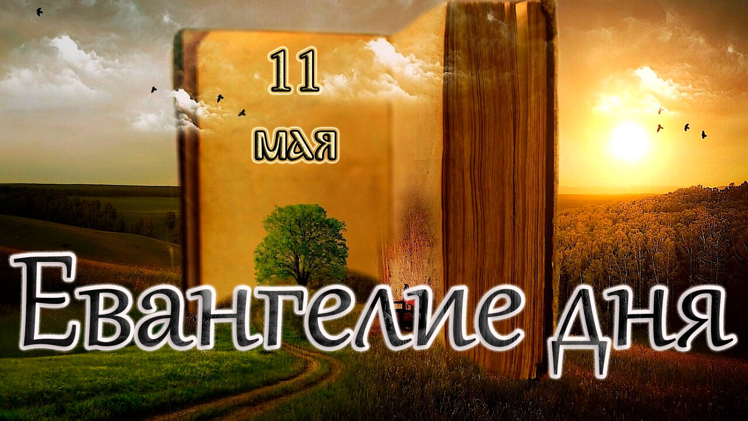 Апостол, Евангелие и Святые дня. Неделя 4-я по Пасхе, о расслабленном. (11.05.25) смотреть онлайн