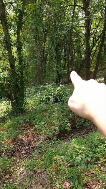 Участок в Сочи для жизни или инвестиций #домвсочи #ку? смотреть онлайн