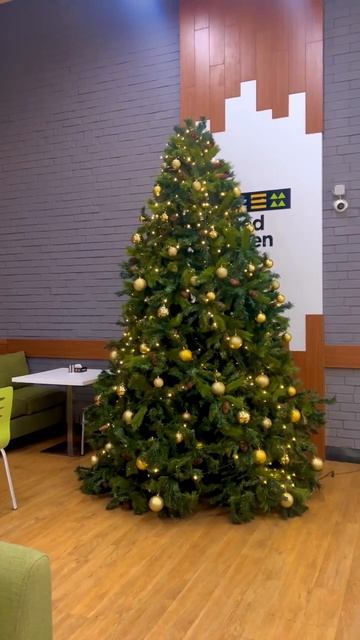 Как выбрать идеальную ёлку для Нового года: натуральн? смотреть онлайн