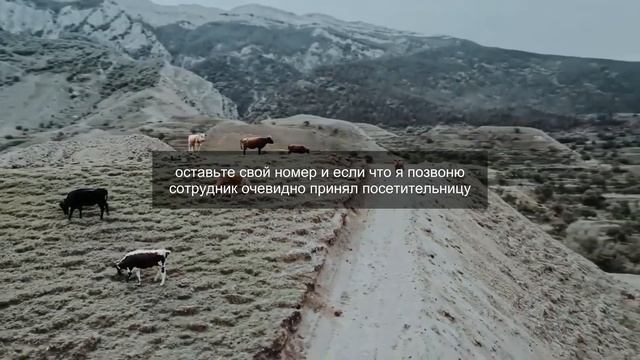 Дареному коню в зубы не смотрят! - заявил муж после ком?