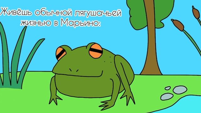 Лягушка и Базаров//анимация смотреть онлайн