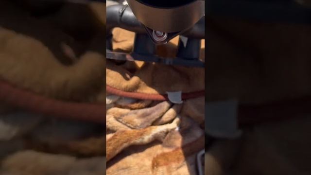 Установка выпускного коллектора стингер на лачетти смотреть онлайн