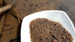 Есть ли ЗОЛОТО на речке Сыростан, мою ЗОЛОТО